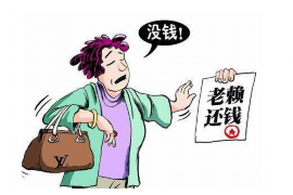 攀枝花要账公司更多成功案例详情